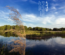 新義水鄉(xiāng)中醫(yī)藥浴康養(yǎng)、黃龍溪古鎮(zhèn)二日游