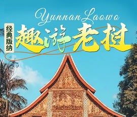 【趣游老撾 · 經典版納】—昆明、普洱、西雙版納、磨丁、瑯勃拉邦四動8日游